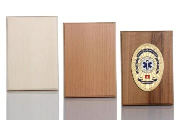 Wood for mounting Paramedic Switzerland